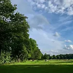 Wilde Moeflon, Geniet De Vrije Natuur! *