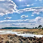 Wilde Moeflon, Geniet De Vrije Natuur! *