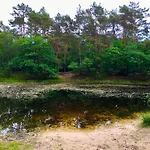 Wilde Moeflon, Geniet De Vrije Natuur! 別荘 *