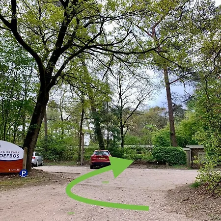 Wilde Moeflon, Geniet De Vrije Natuur! * Otterlo