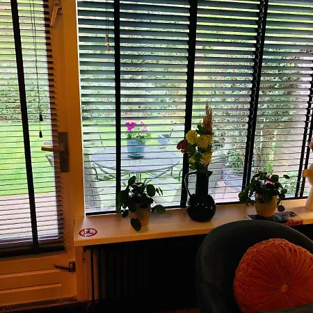 Holiday home Wilde Moeflon, Geniet De Vrije Natuur! *
