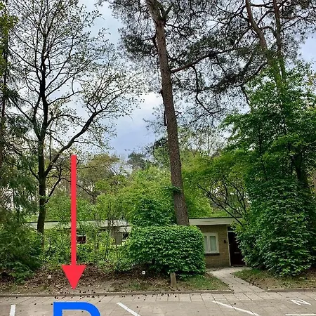 Wilde Moeflon, Geniet De Vrije Natuur! 펜션