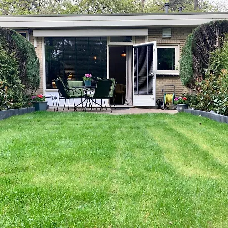 Wilde Moeflon, Geniet De Vrije Natuur! * 오털로