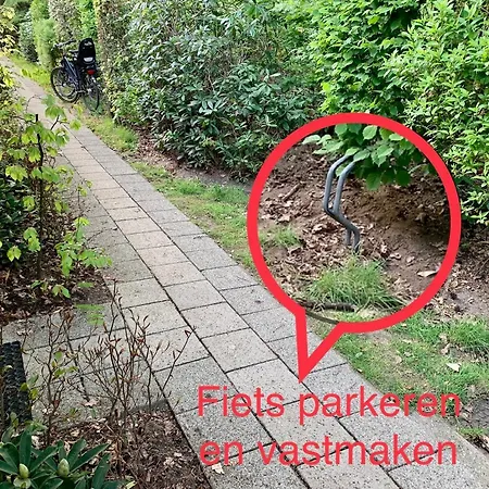 Wilde Moeflon, Geniet De Vrije Natuur! * Otterlo
