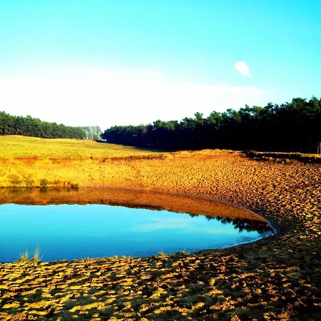 Holiday home Wilde Moeflon, Geniet De Vrije Natuur! Otterlo