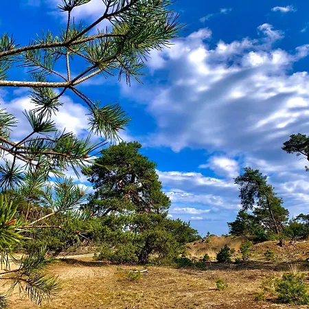 Wilde Moeflon, Geniet De Vrije Natuur! Holiday home Otterlo