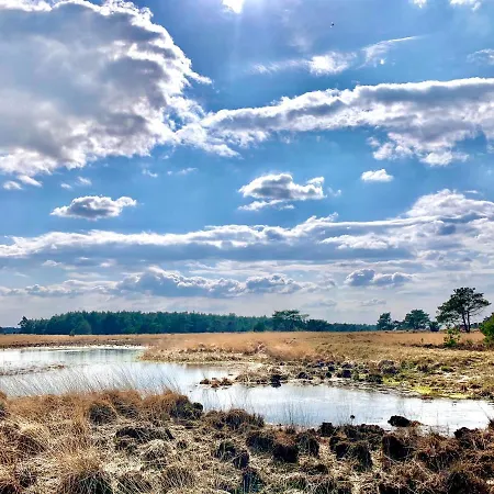 Wilde Moeflon, Geniet De Vrije Natuur! *