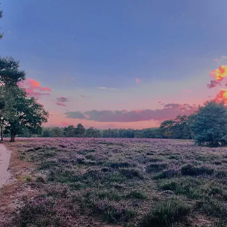 Holiday home Wilde Moeflon, Geniet De Vrije Natuur! Otterlo