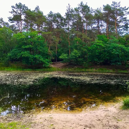 Wilde Moeflon, Geniet De Vrije Natuur! Ferienhaus *