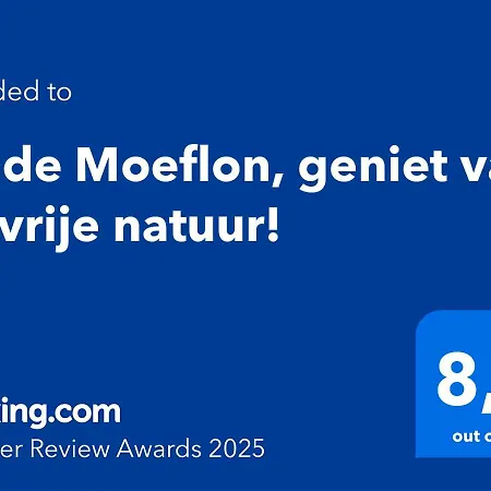 Wilde Moeflon, Geniet De Vrije Natuur! Feriehus