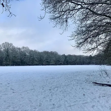 Ferienhaus Wilde Moeflon, Geniet De Vrije Natuur! Otterlo