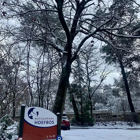 別荘 Wilde Moeflon, Geniet De Vrije Natuur! *