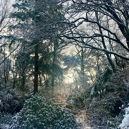 Wilde Moeflon, Geniet De Vrije Natuur! Otterlo