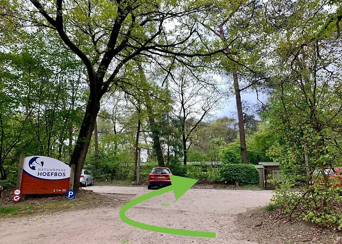 Wilde Moeflon, Geniet De Vrije Natuur! * Otterlo