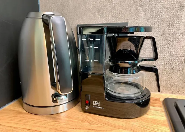 Wilde Moeflon, Geniet De Vrije Natuur!