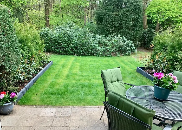 Wilde Moeflon, Geniet De Vrije Natuur! Otterlo