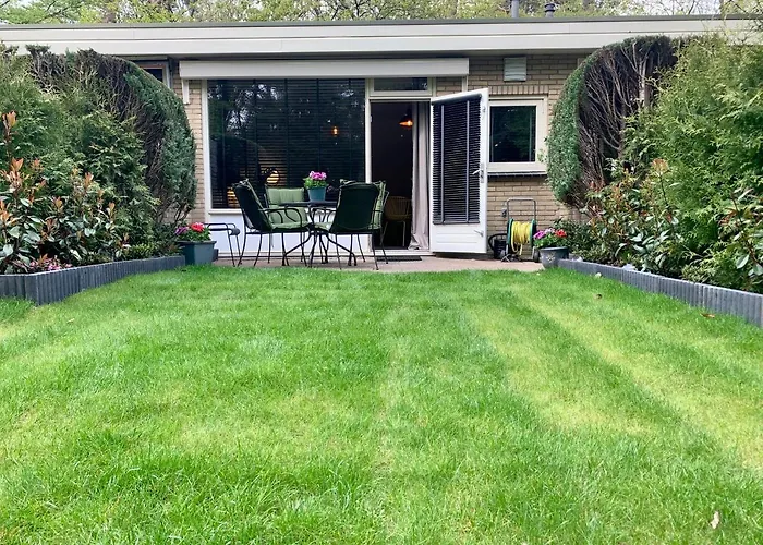 Wilde Moeflon, Geniet De Vrije Natuur! * Otterlo