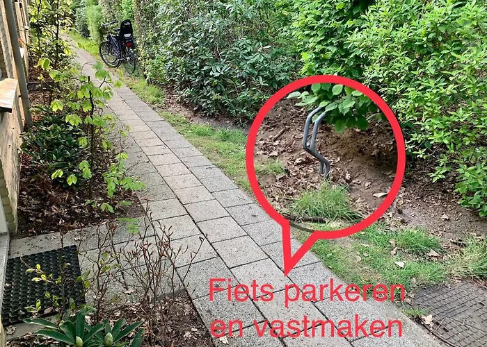 Wilde Moeflon, Geniet De Vrije Natuur! * Otterlo