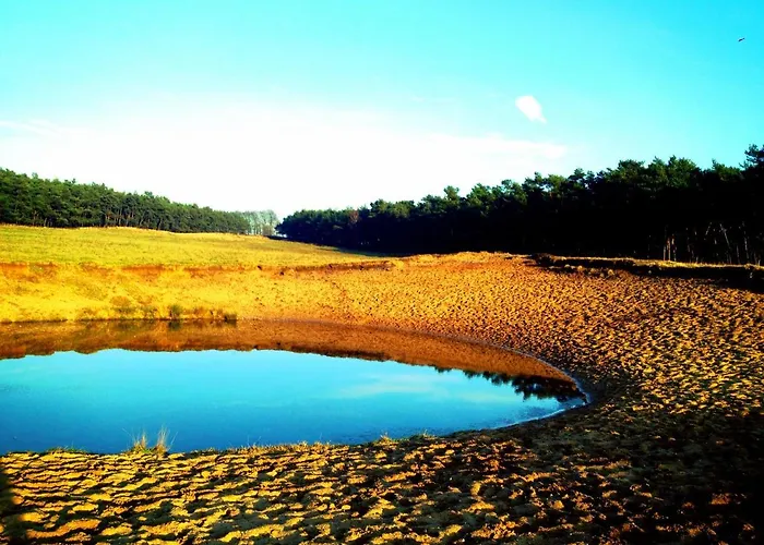 Nyaraló Wilde Moeflon, Geniet De Vrije Natuur! Otterlo