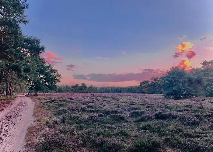 Nyaraló Wilde Moeflon, Geniet De Vrije Natuur! Otterlo