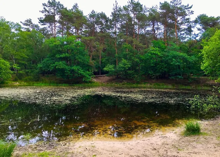 Wilde Moeflon, Geniet De Vrije Natuur! Сasa de vacaciones *