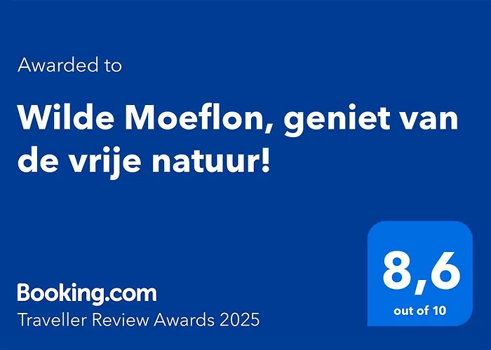 Wilde Moeflon, Geniet De Vrije Natuur! Сasa de vacaciones