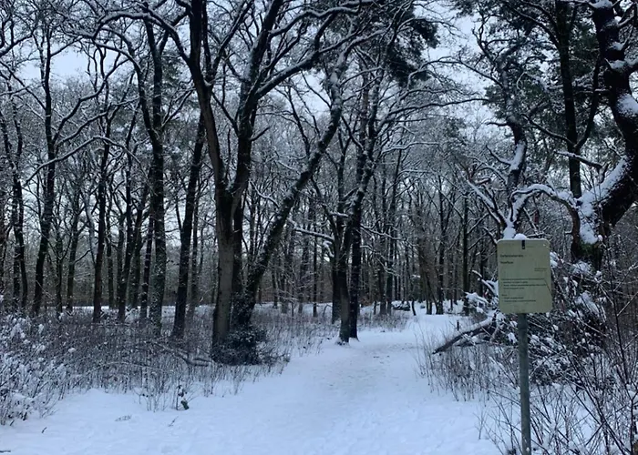 Wilde Moeflon, Geniet De Vrije Natuur! *
