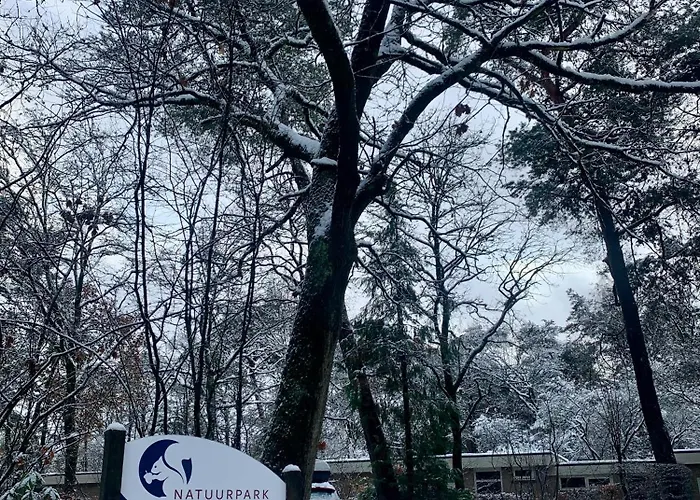 Сasa de vacaciones Wilde Moeflon, Geniet De Vrije Natuur! *