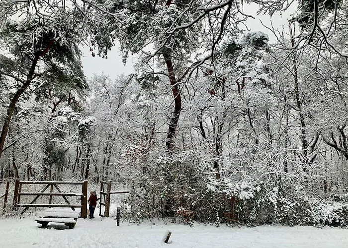 Wilde Moeflon, Geniet De Vrije Natuur!