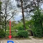 Wilde Moeflon, Geniet De Vrije Natuur! בית נופש