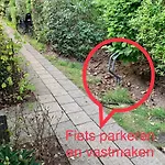 Wilde Moeflon, Geniet De Vrije Natuur! * אוטרלו