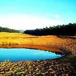 בית נופש Wilde Moeflon, Geniet De Vrije Natuur! אוטרלו