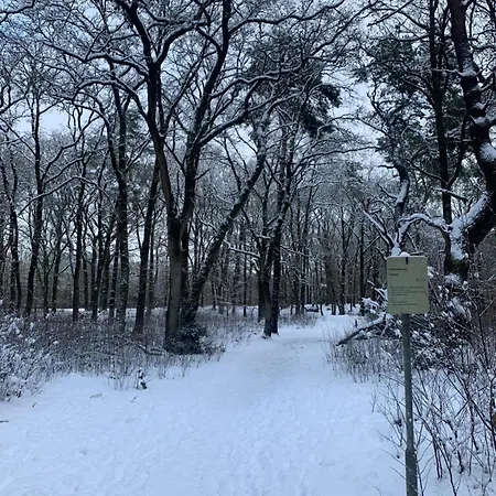 Wilde Moeflon, Geniet De Vrije Natuur! *